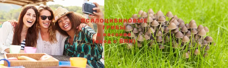 hydra вход  купить  сайты  Бородино  Галлюциногенные грибы MAGIC MUSHROOMS 